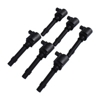 Ignition Coil Fit For Ford Falcon Fairmont Fairlane LTD BA BF XR6 Territory SY SX 6pcs