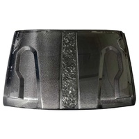 TANK 300 Carbon Fiber Engine Bonnet (Double Side, Carbon Core)